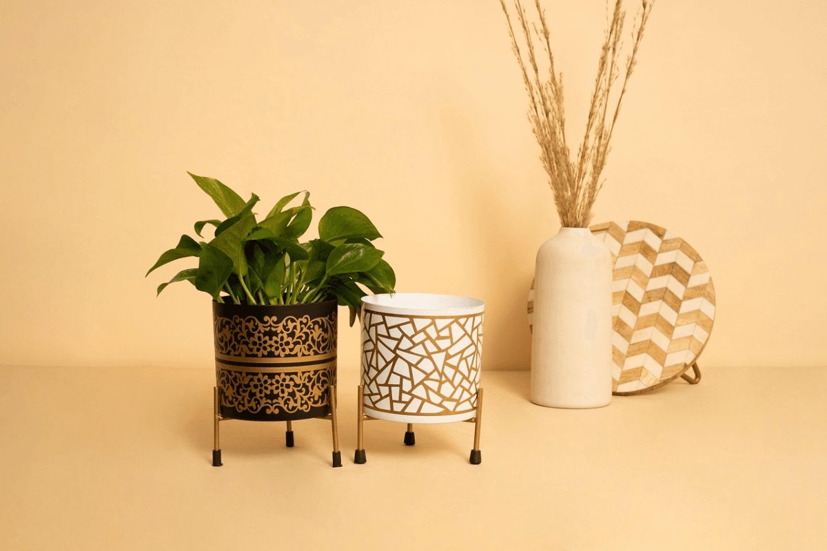 Best Planters For Indoors